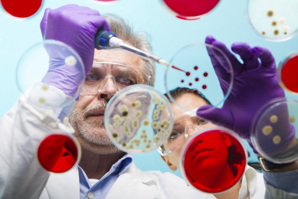 Viet Nam chua tu xet nghiem duoc virus Ebola hinh anh