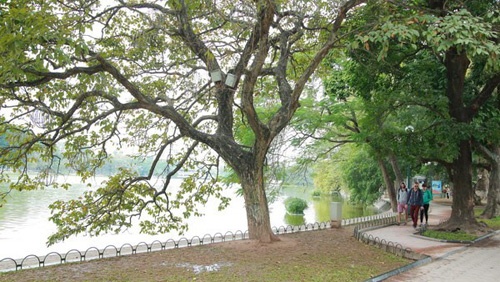 Cuoi tuan Bac bo khong mua, nhiet do tang hinh anh