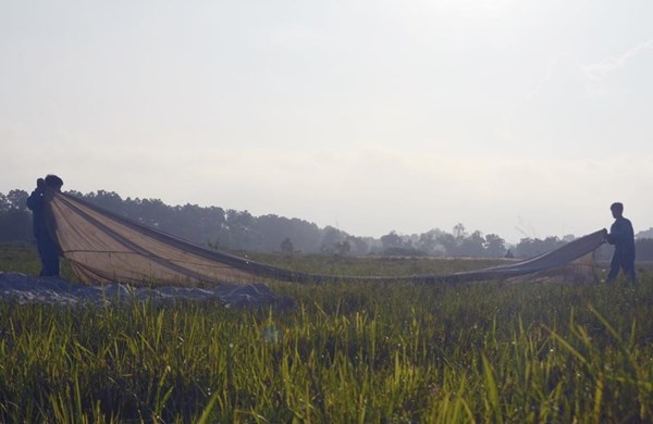 Xác định điểm hạ cánh.