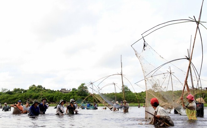  Để bắt được cá, cả trăm người dân lội xuống Trằm, đi thành hàng lội bùn rồi dùng nơm bắt cá.