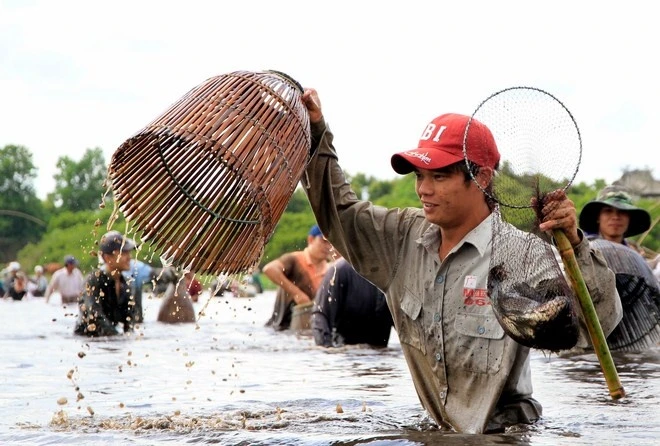Loại cá người dân bắt được nhiều nhất là cá rô phi.   