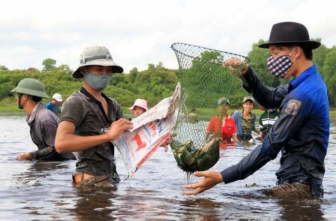 Chỉ vài vòng lội quanh Trằm, mỗi người dùng nơm có thể bắt được vài kg cá.