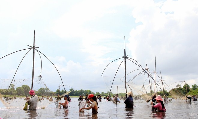 Nhiều bé gái đang là học sinh lớp 5 cũng tham gia bắt cá bằng rổ tre hoặc vợt ở gần bờ.  
