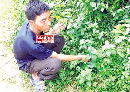 Phuong phap noi xuong la ky 'gay mot noi bo mot noi' hinh anh