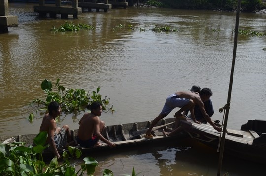 Bat luc voi ca lon da dinh cau o mien Tay hinh anh