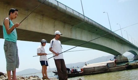 Những tay câu đang rê cá bống