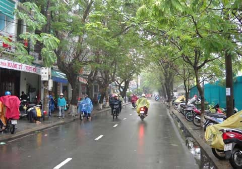 Dau tuan, Bac bo mua do anh huong cua ap thap nhiet doi hinh anh