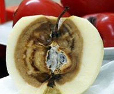 Yeu cau lam ro ve 'le 5 thang, tao 9 thang khong hong' hinh anh