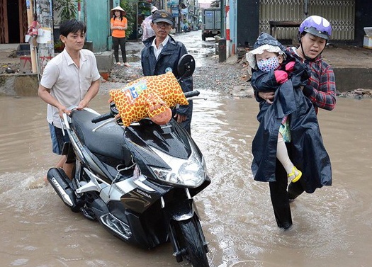 Dau tuan Bac Bo nang oi, Nam Bo mua rao hinh anh
