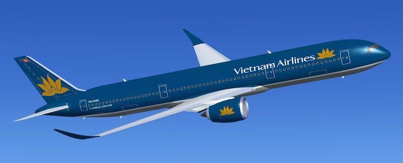 Vietnam Airlines ha canh khan cap vi hanh khach kho tho hinh anh