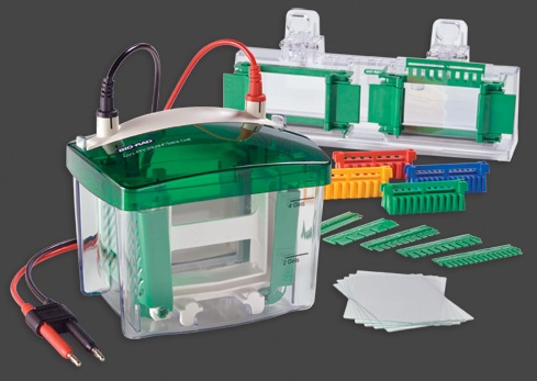 8 benh vien nhap thiet bi cua cong ty Bio-Rad hinh anh