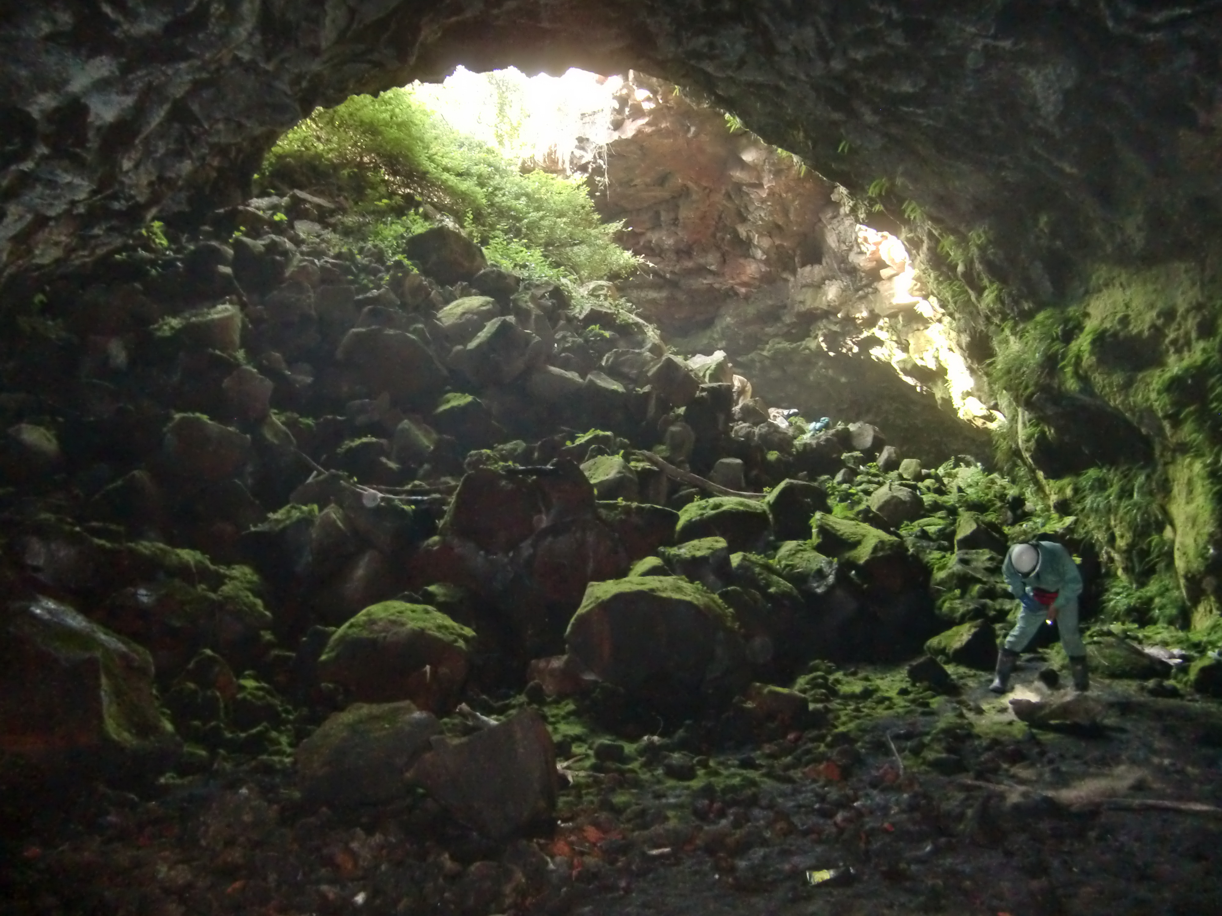 Hang dong nui lua Dak Nong se tro thanh cong vien dia chat hinh anh