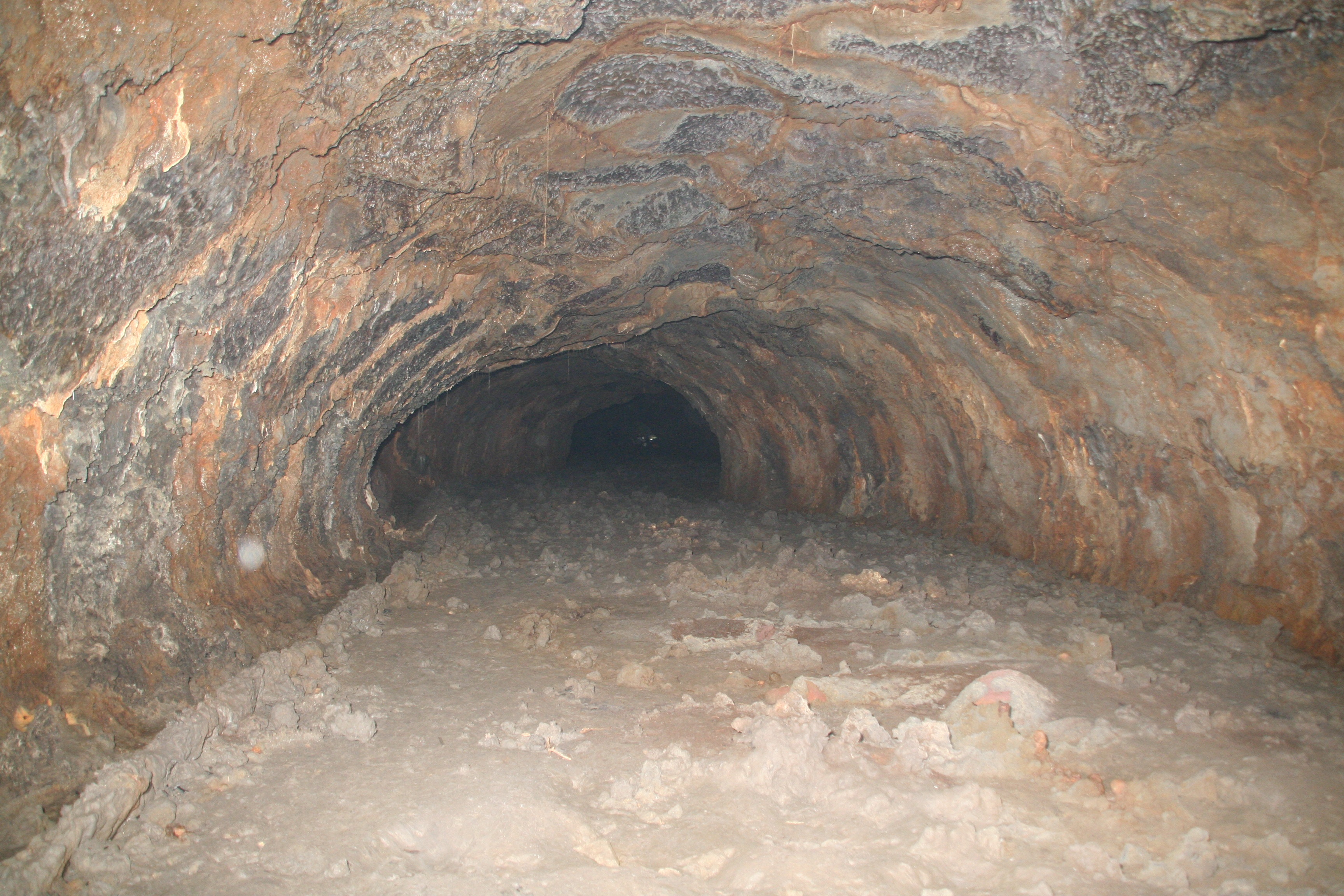 Một đoạn hình ống thuộc hang C3