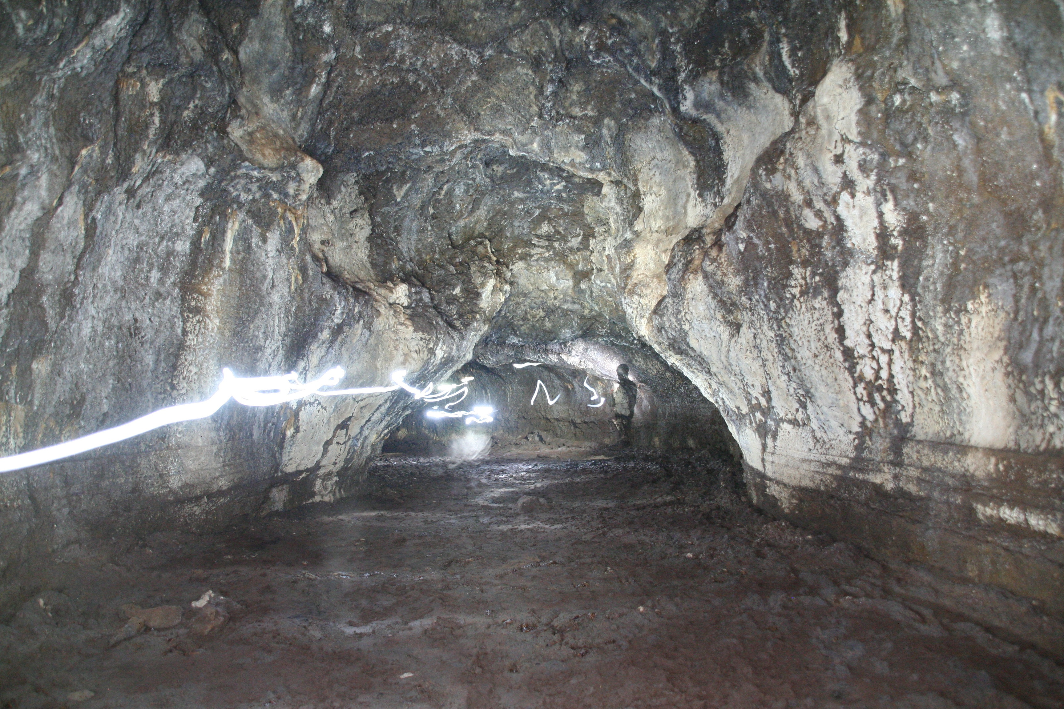 Vết bám màu trắng trên thành hang C7 có thể là do một loại vi khuẩn