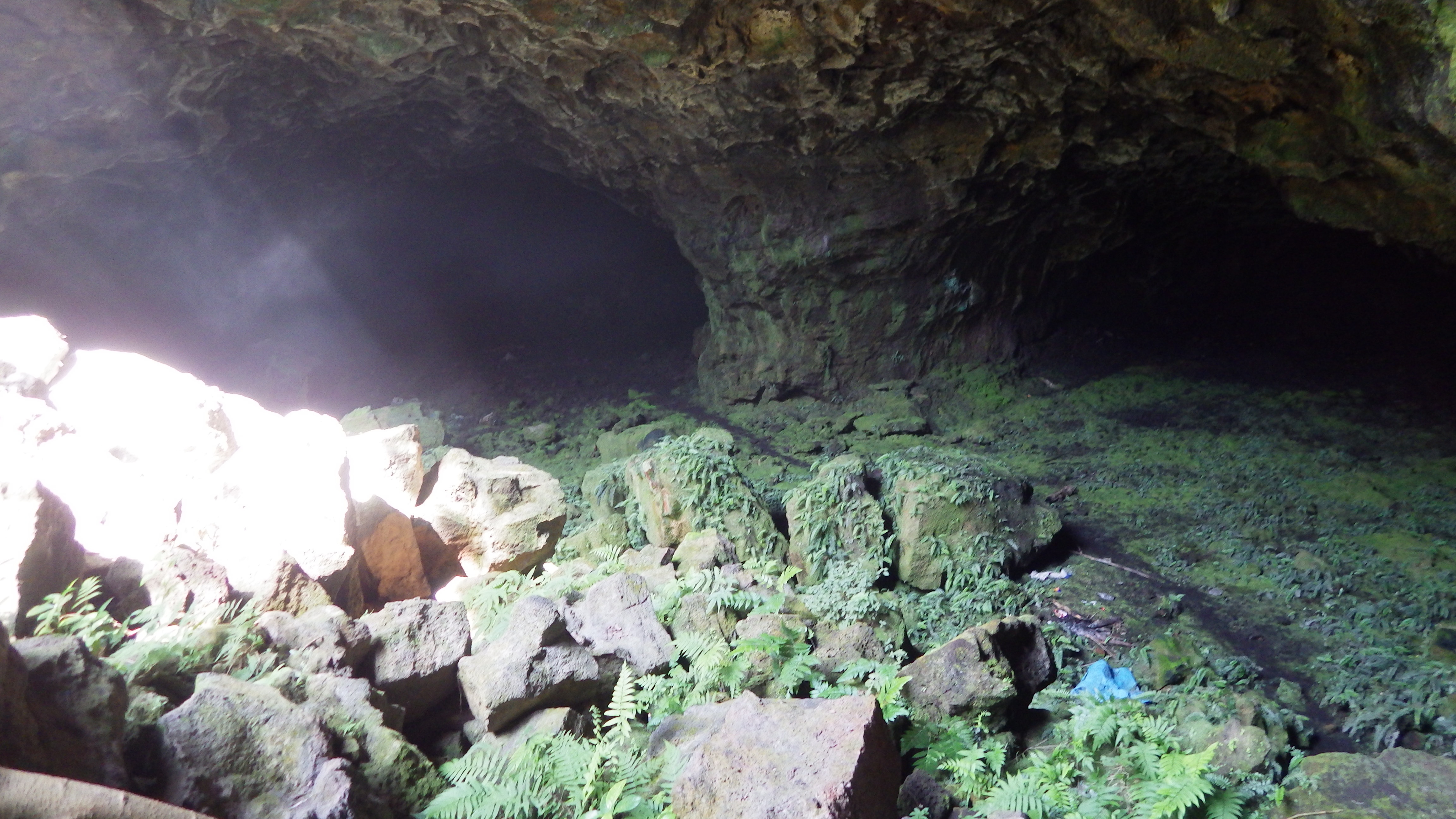 Các giải pháp bảo vệ bảo tồn, quản lý, khai thác phát triển du lịch cũng sẽ được nghiên cứu đề xuất