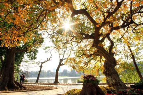 Bac Bo chenh lech gan 15 do C giua ngay va dem hinh anh