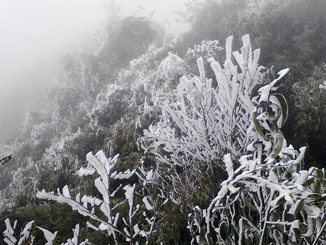 Vung nui phia Bac co the xuat hien bang gia hinh anh