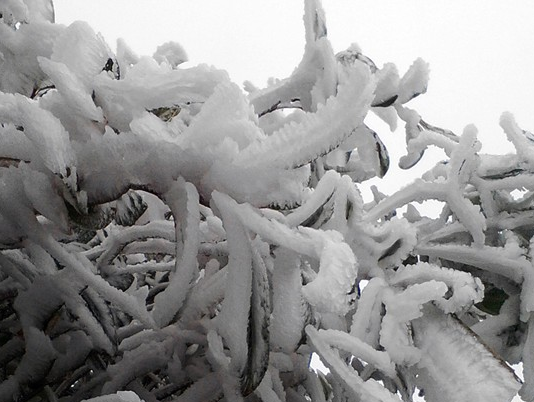 Dem nay tuyet co the roi o Fansipan hinh anh