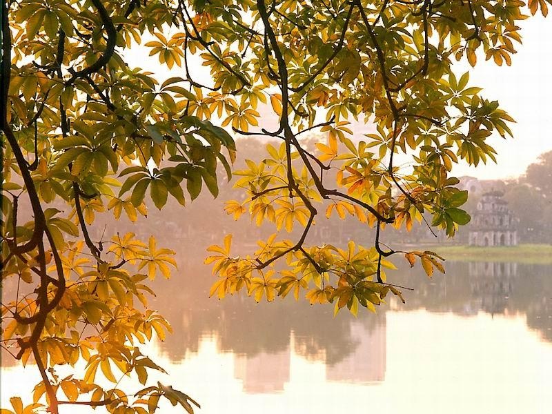 Nam Bo mat me suot tuan hinh anh