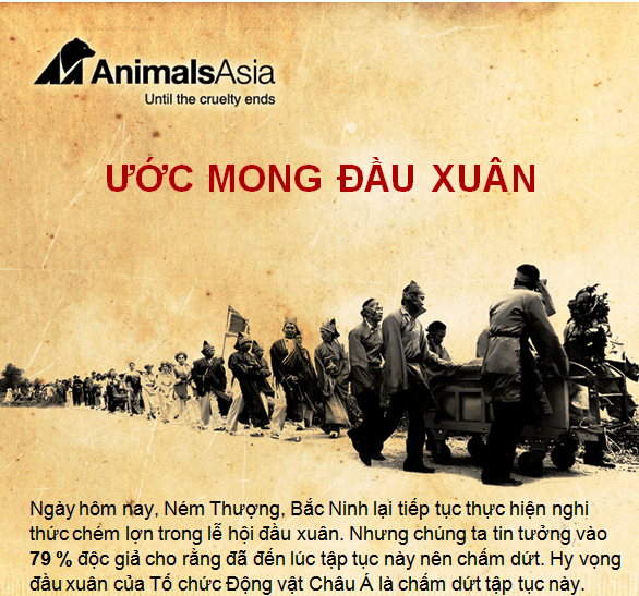 Ước mong đầu xuân của AAF.
