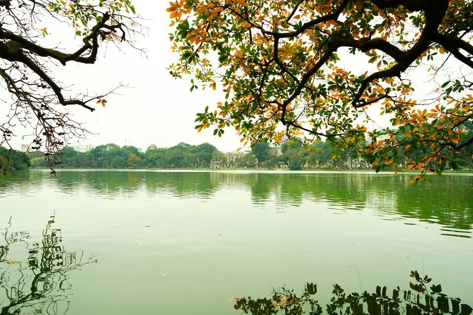 Bac Bo mua phun, Nam Bo bot nong hinh anh