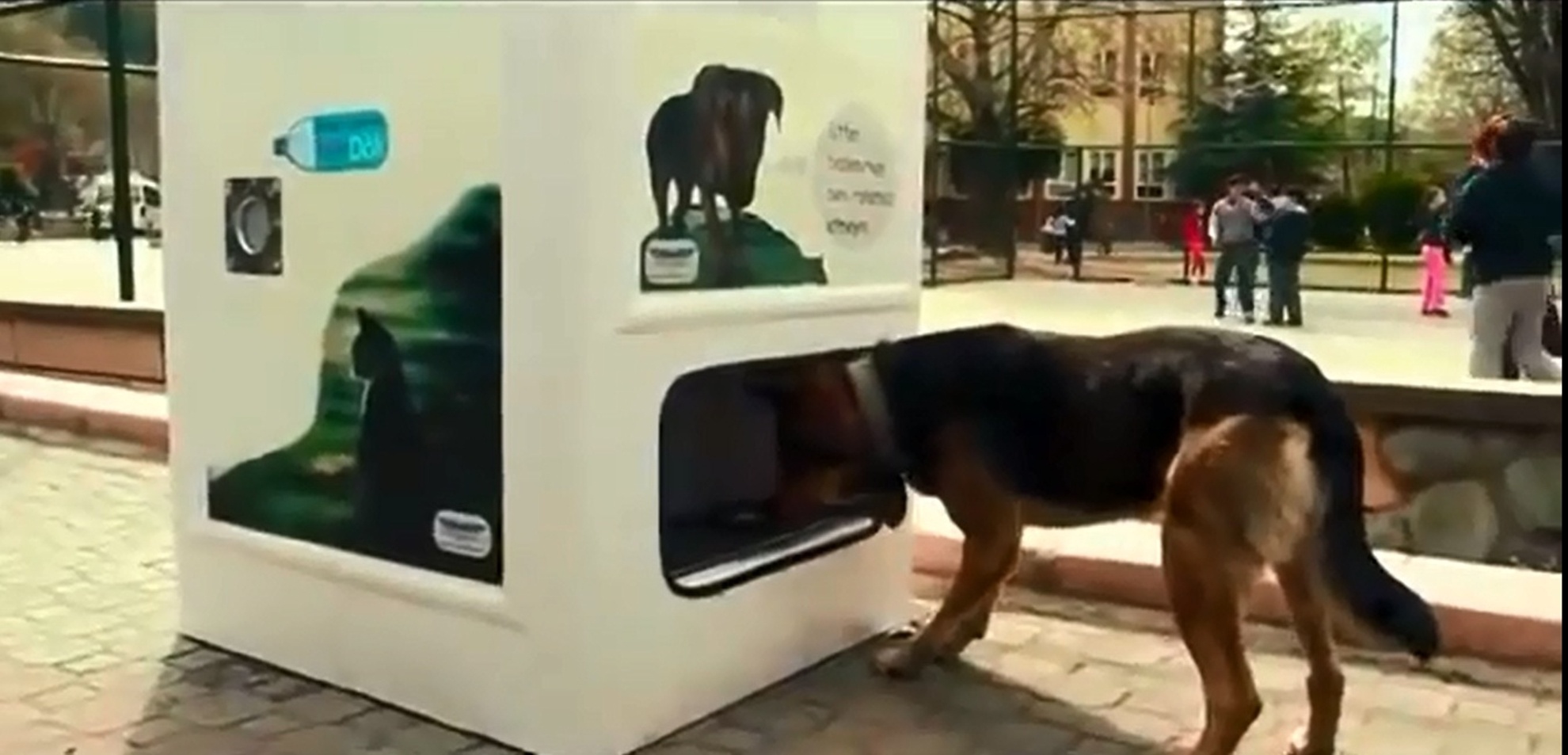 May tu dong cap thuc pham cho cho voi chai nuoc tai che hinh anh