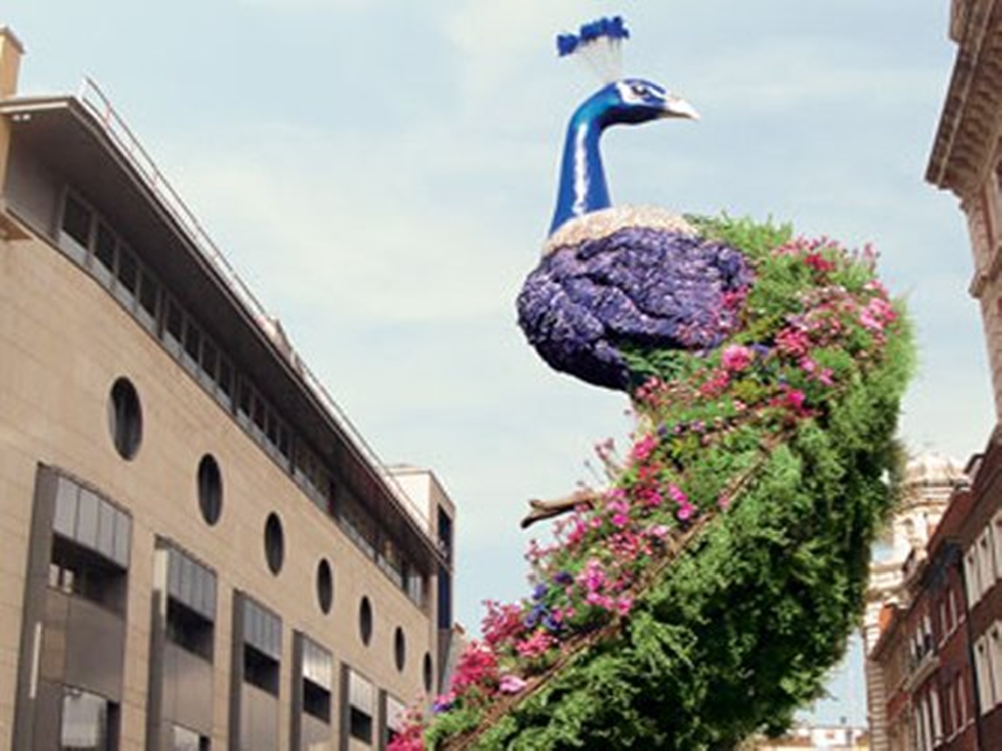 9 mon qua dat, doc danh rieng cho gioi nha giau hinh anh