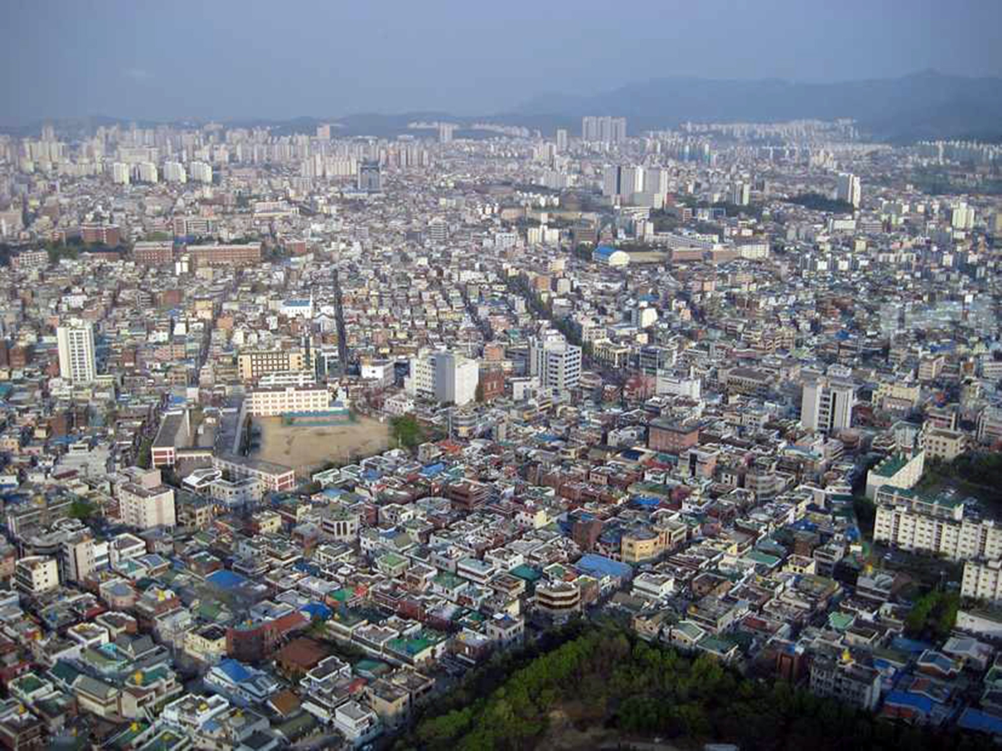 Ảnh: Business Insider.