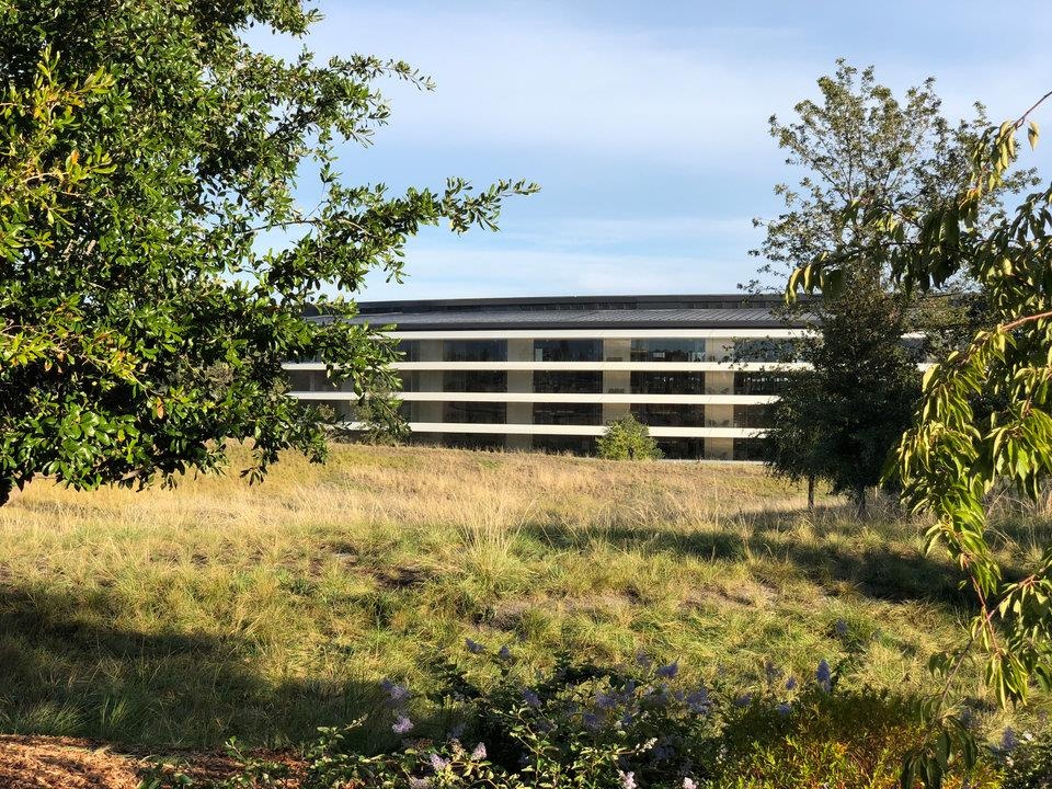 ly do Ive o lai voi apple 27 nam anh 18