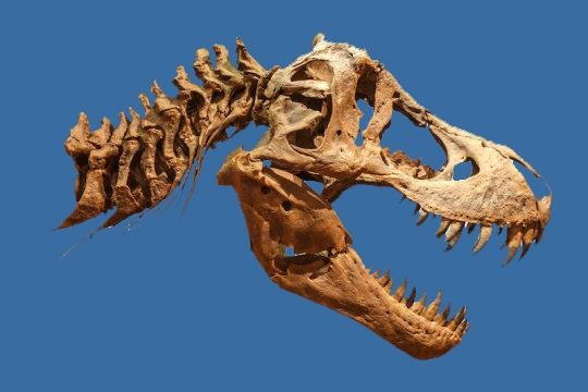 Khung long bao chua co may dieu hoa trong hop so anh 1