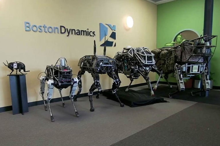 Dynamics Boston vao thi truong muon anh 1