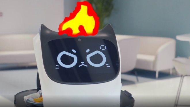 Chu meo boi ban nay se phat cau neu ban so tai no qua nhieu anh 1