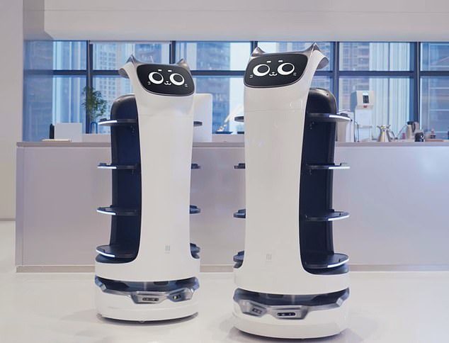 Chu meo boi ban nay se phat cau neu ban so tai no qua nhieu anh 2