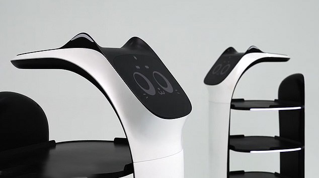 Meo may cau gat khi bi so tai nhieu lan hinh anh