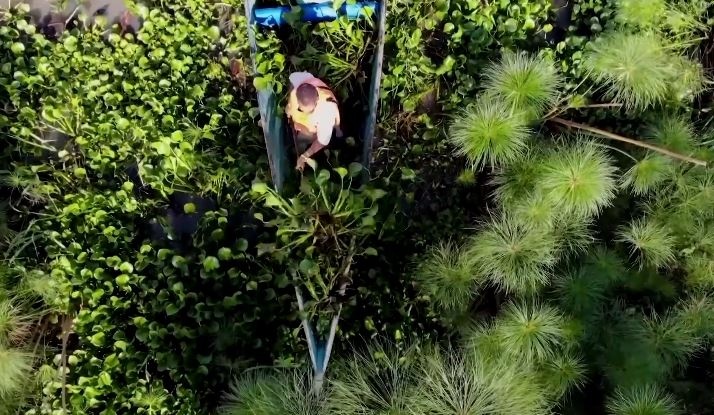 Chuyen doi luc binh thanh nhien lieu sinh hoc de nau an hinh anh