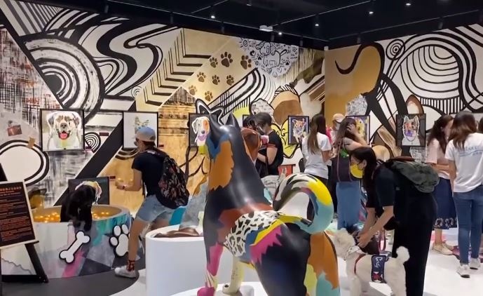 Trien lam mo cua cho cho o Hong Kong hinh anh