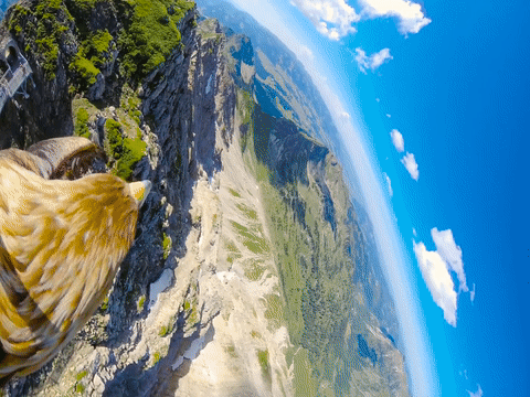 Camera tren canh dai bang ghi lai canh nui rung hung vi hinh anh