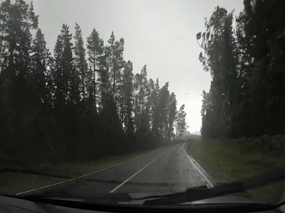 Bao lon khien hang cay nga sap xuong duong hinh anh