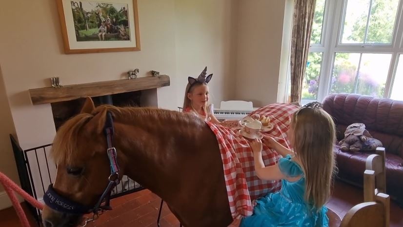 Hai co be lam tiec tra tren lung ngua con o Anh hinh anh