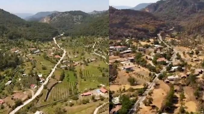 Rung Tho Nhi Ky truoc va sau chay rung hinh anh