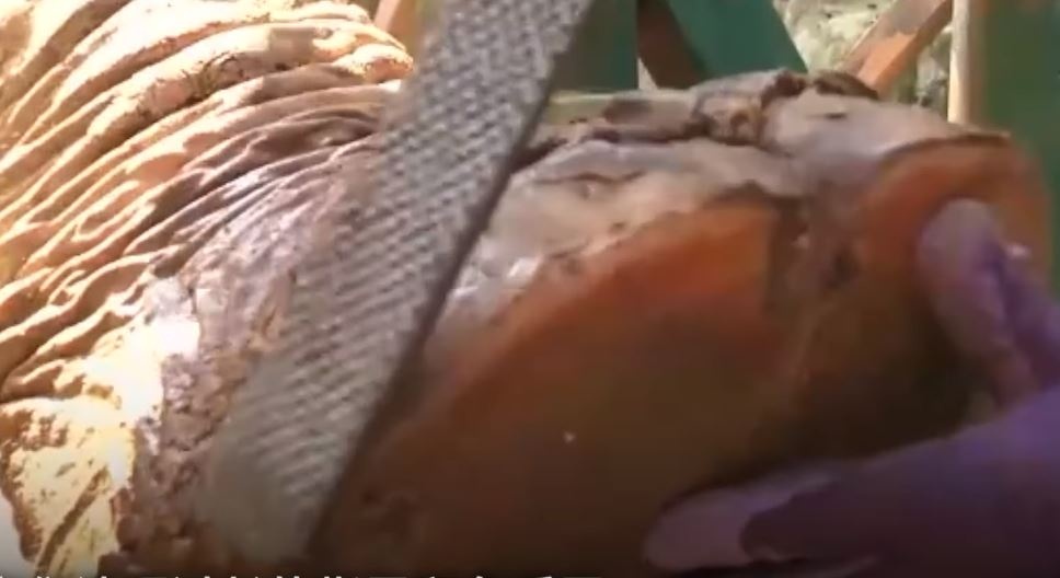 Cham soc mong cho voi trong vuon thu hinh anh