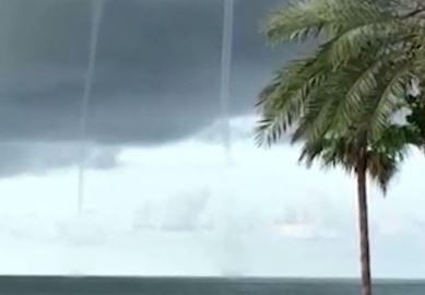 2 voi rong xuat hien cung luc ngoai bien Florida hinh anh