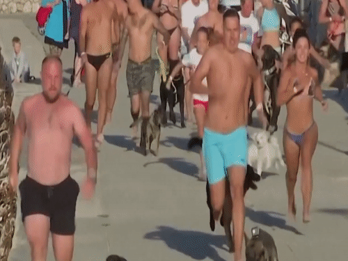 Cuoc dua cua chu va cho tren bai bien o Croatia hinh anh