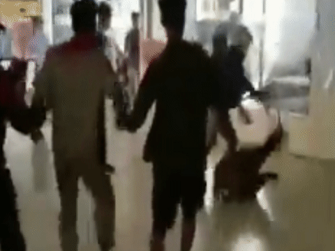 Huou hoang da chay vao cong xuong, gay nao loan o Indonesia hinh anh