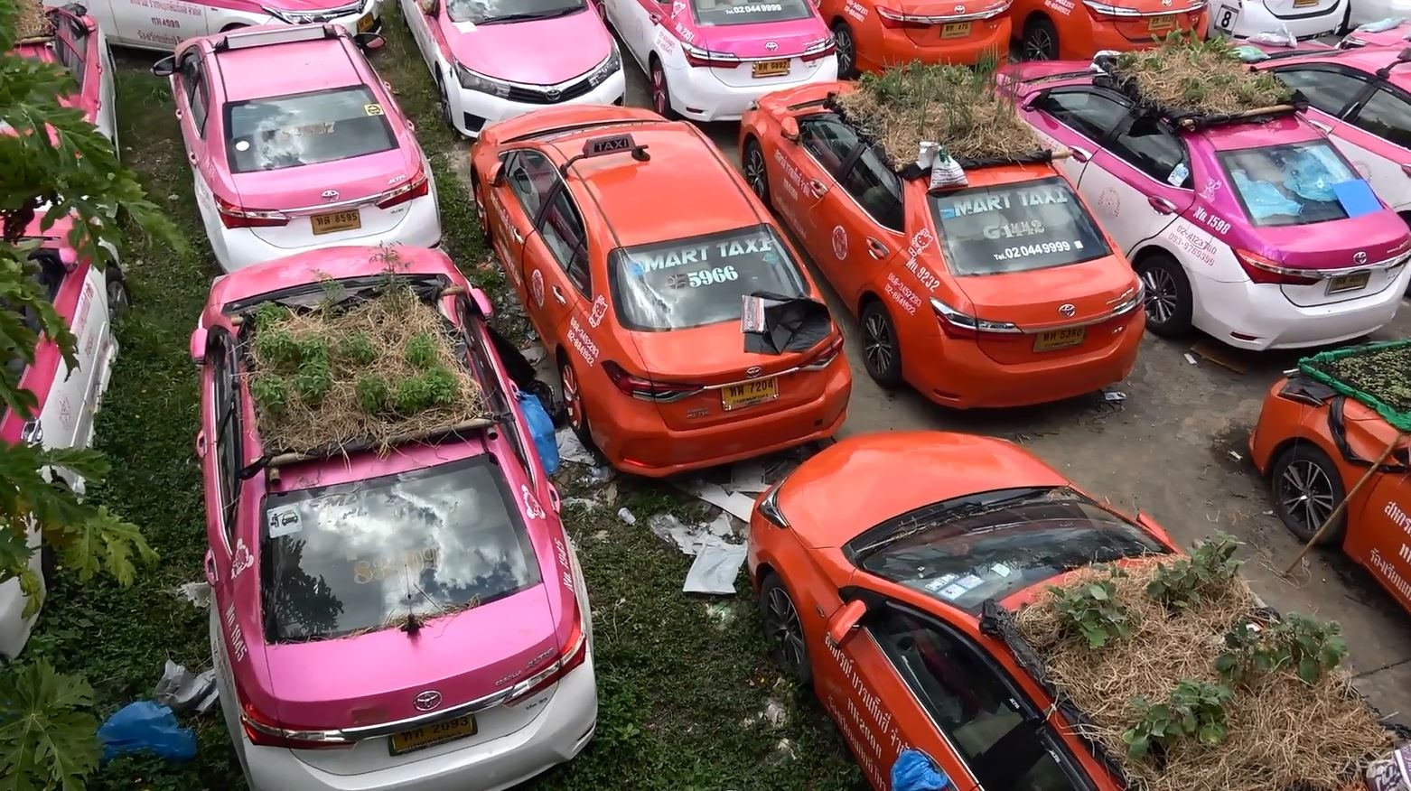 Nhung chiec taxi bien thanh vuon rau vi dich Covid-19 hinh anh