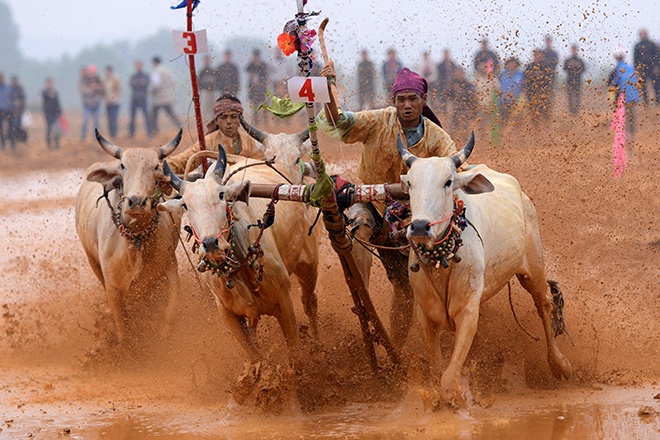 Hang nghin nguoi Ha Noi ho reo co vu dua bo hinh anh