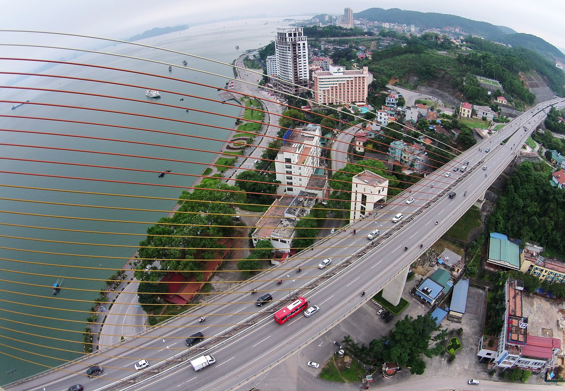 Cay cau chiu duoc dong dat cap 7 nhin tu camera bay hinh anh