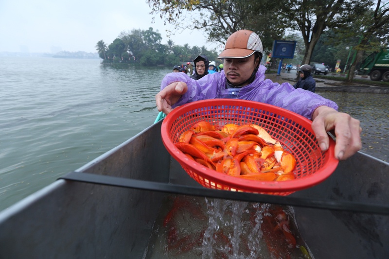 Tha ca nghin ca chep phong sinh o thu do hinh anh