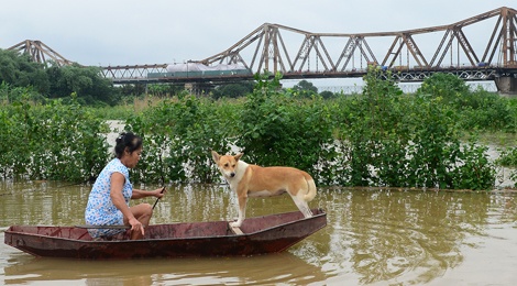 Bai giua song Hong ngap trang, xom noi dat vao bo hinh anh