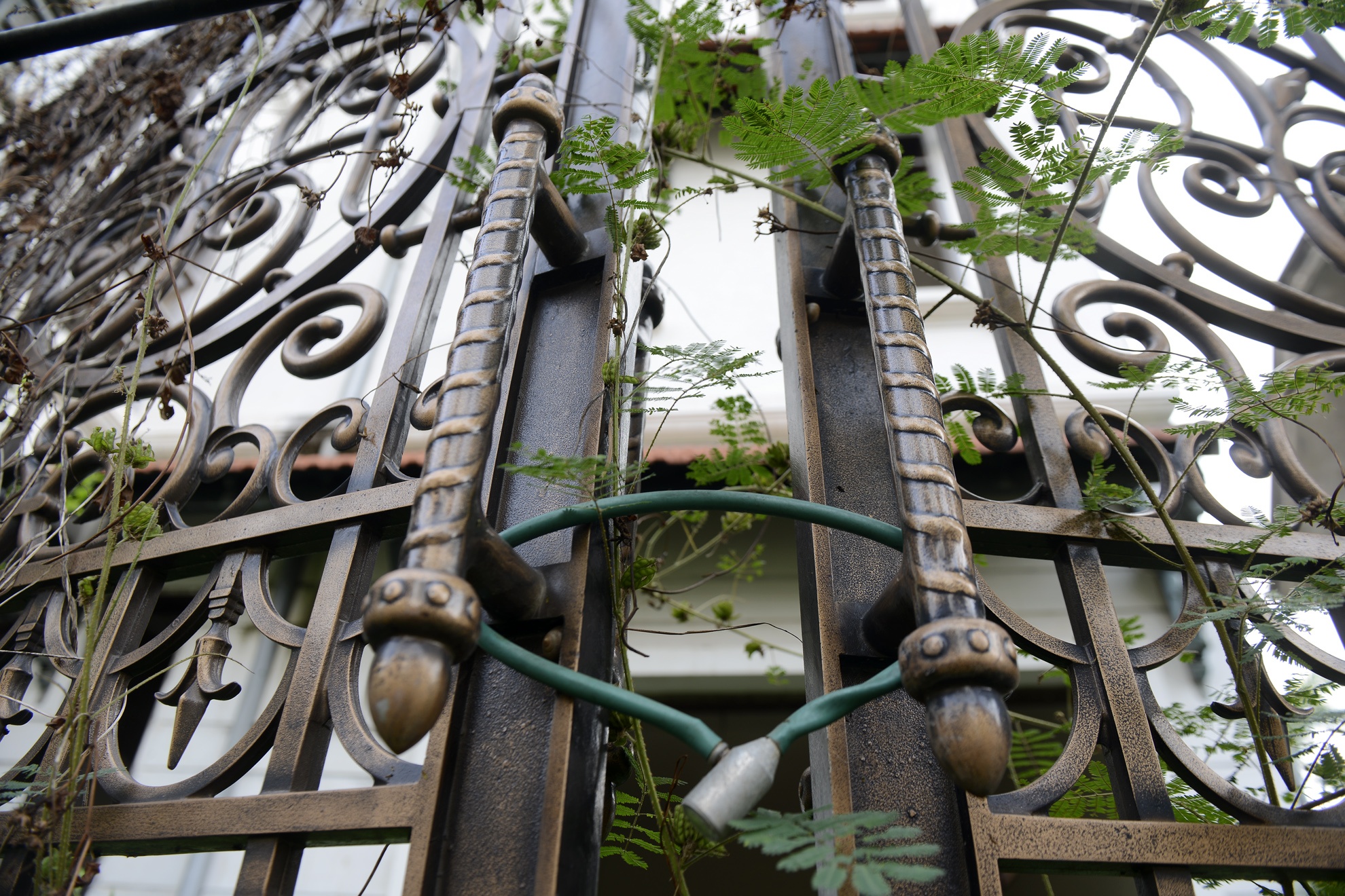 Biet thu bo hoang tran ngap khu do thi Thien duong Bao Son hinh anh